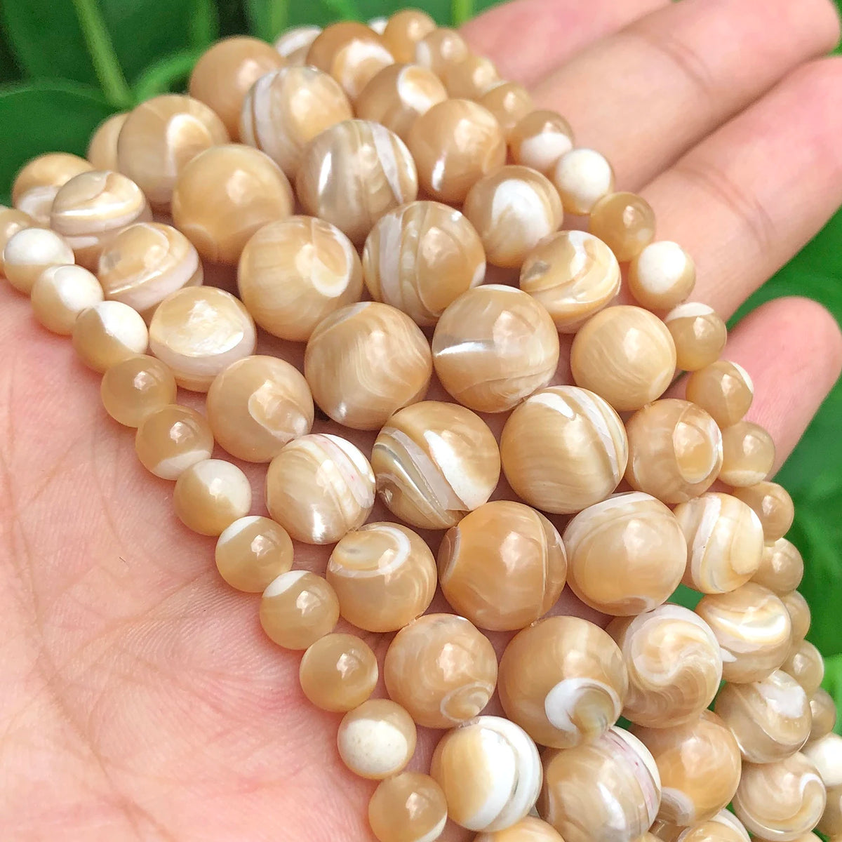 Trochus Shell Round Beads 4–10mm | 15" Strand for Jewelry DIY