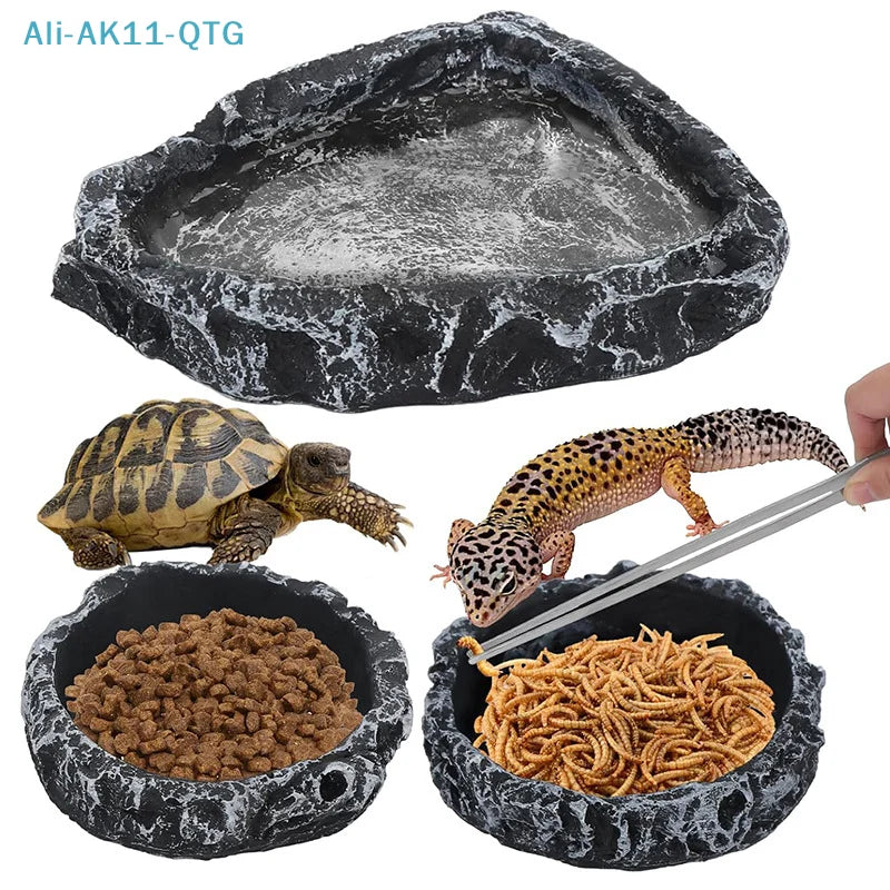 Stone Reptile Food & Water Bowl – Bearded Dragon Dish