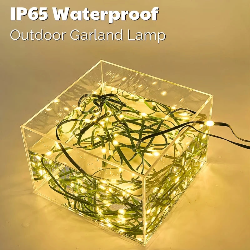 24V LED Fairy String Lights 10m–100m | Outdoor Christmas Garland