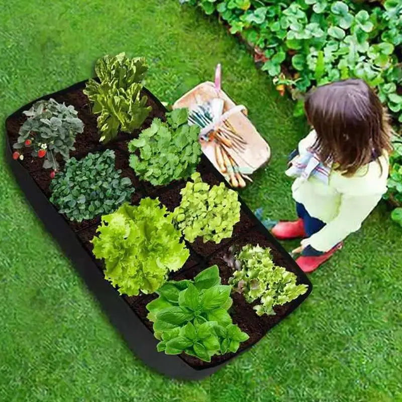 Fabric Raised Garden Bed Grow Bags – 1/2/4/6/8 Holes