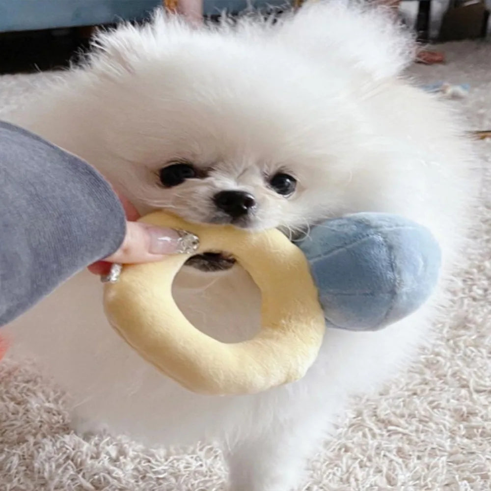 Ring Box Squeaky Plush Toy for Cats & Dogs | Soft Pet Toy