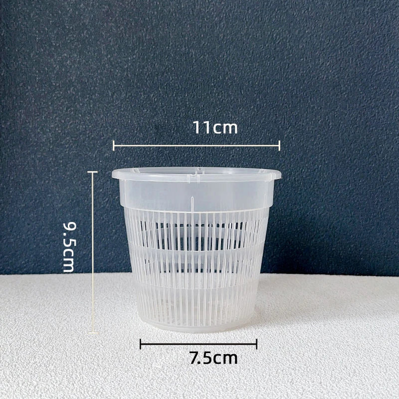 Transparent Mesh Orchid Pot 11cm & 14cm – Air Pruning Planter