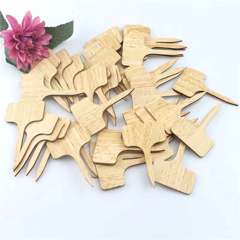 T-Type Bamboo Plant Labels | Eco-Friendly Garden Markers 10–30Pk
