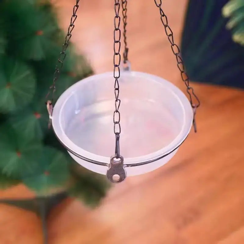 Transparent Circular Bird Feeder Bowl – Large Capacity