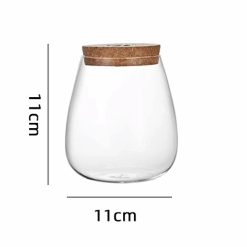 Glass Propagation Vase Rack – Tabletop Water Cultivation Planter