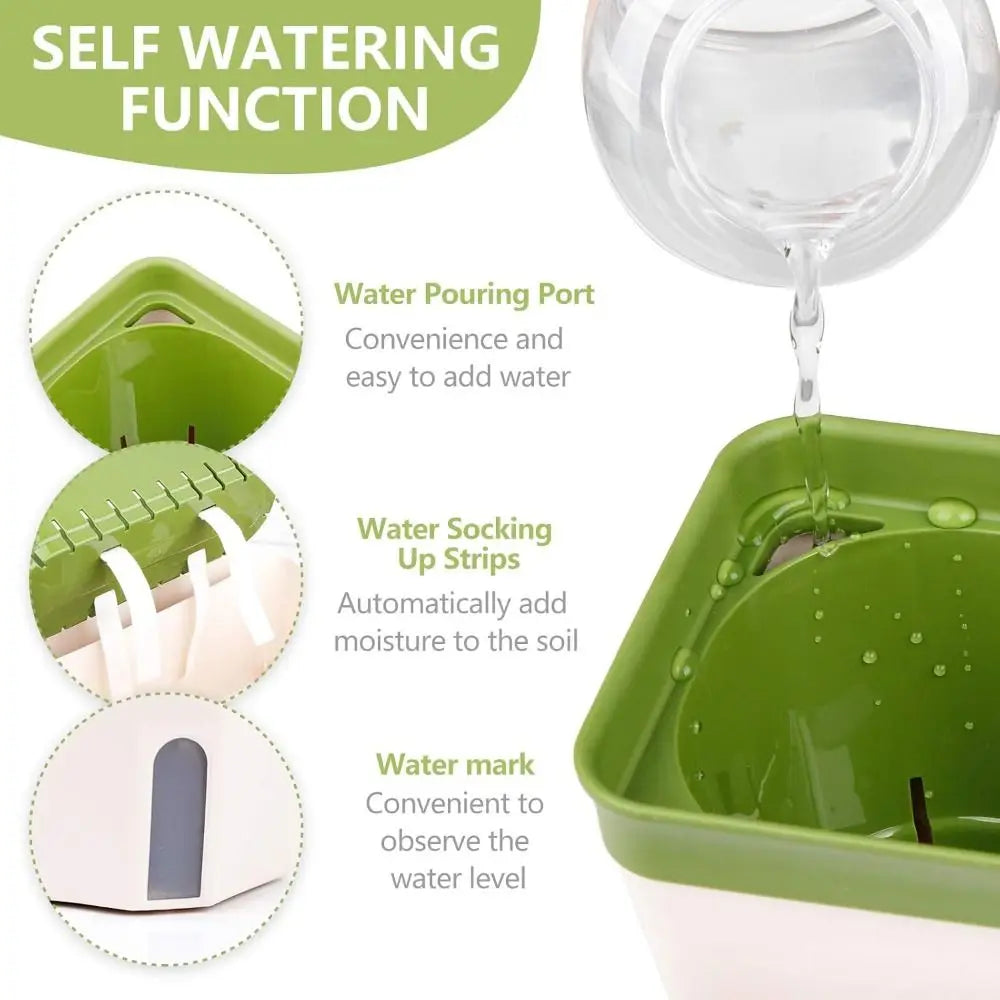 Self-Watering Herb Planter Box – Visible Water Level Window