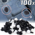 100-Piece Mixed Car Plastic Clips & Body Panel Retainer Kit