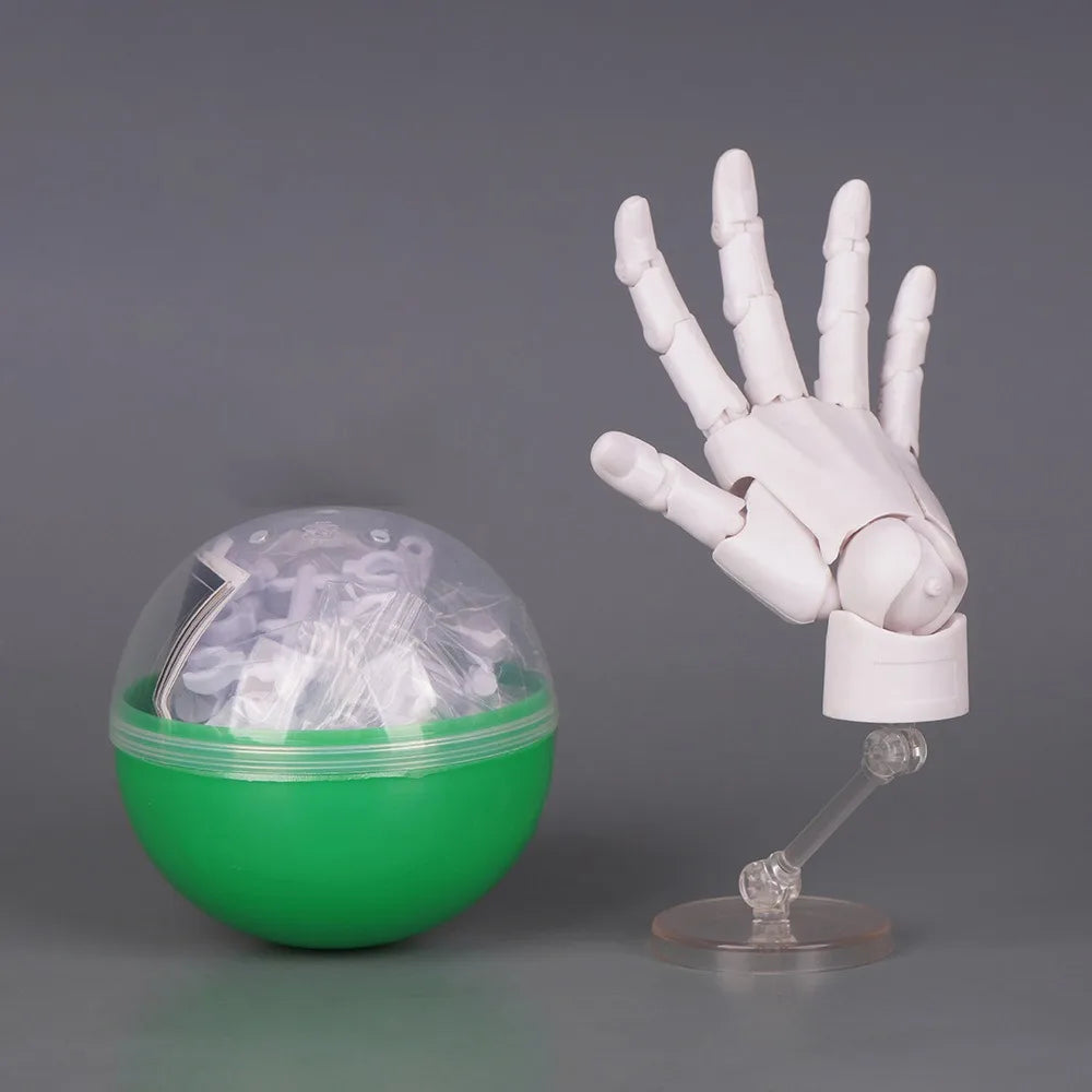 1:2 Scale Articulated Hand Model – Posable Fingers Art Figure