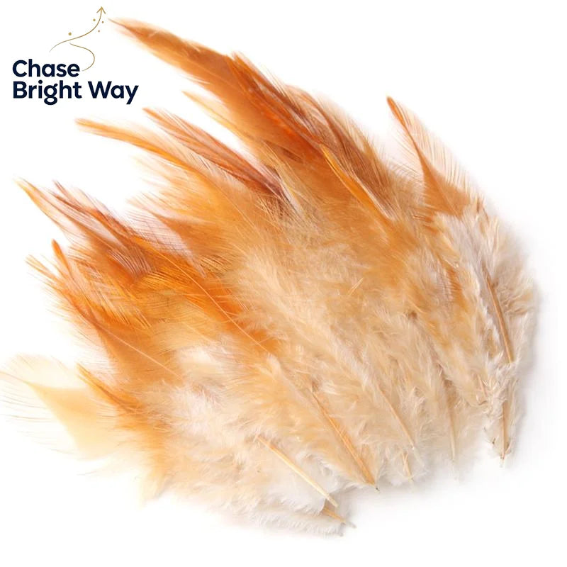 50-Pack Natural Chicken Feathers 7–15cm – DIY Crafts & Décor