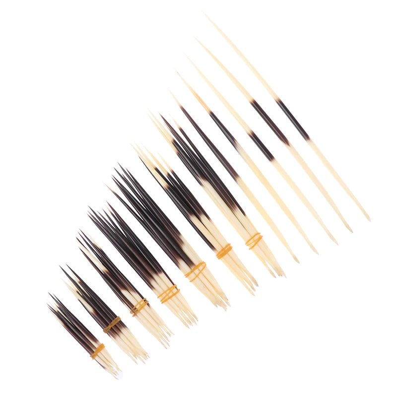Natural Porcupine Quills – Hair Stick, DIY Crafts & Jewelry