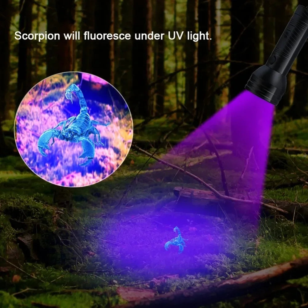 UV Black Light Flashlight 9/12 LED 395nm – Pet Stain Detector
