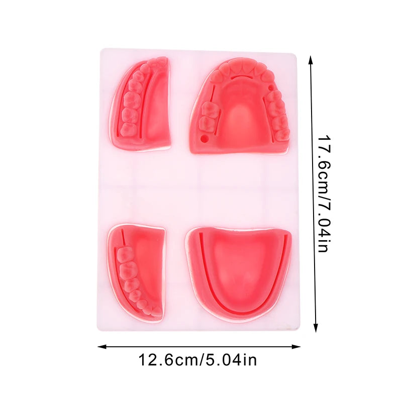 Venipuncture & Suture Practice Pad – Silicone Training Model