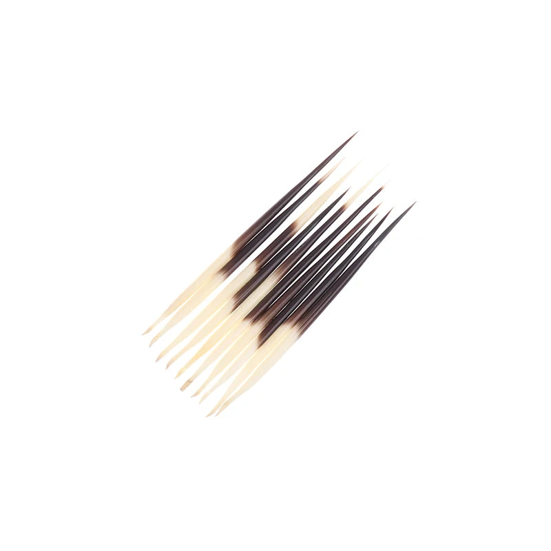Natural Porcupine Quills – Hair Stick, DIY Crafts & Jewelry