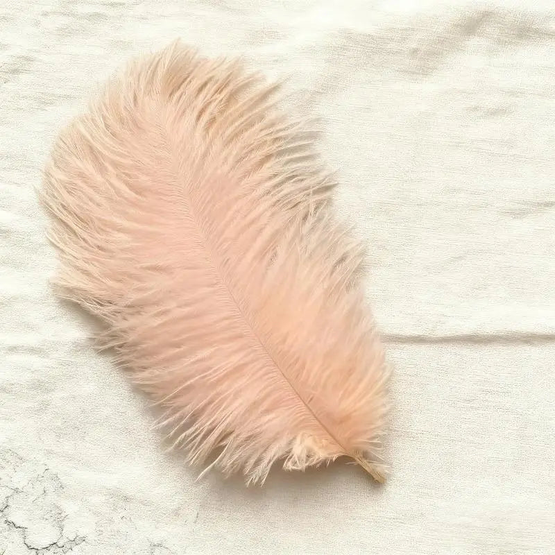Soft Decorative Ostrich Feather Plume – DIY Boho Home Decor