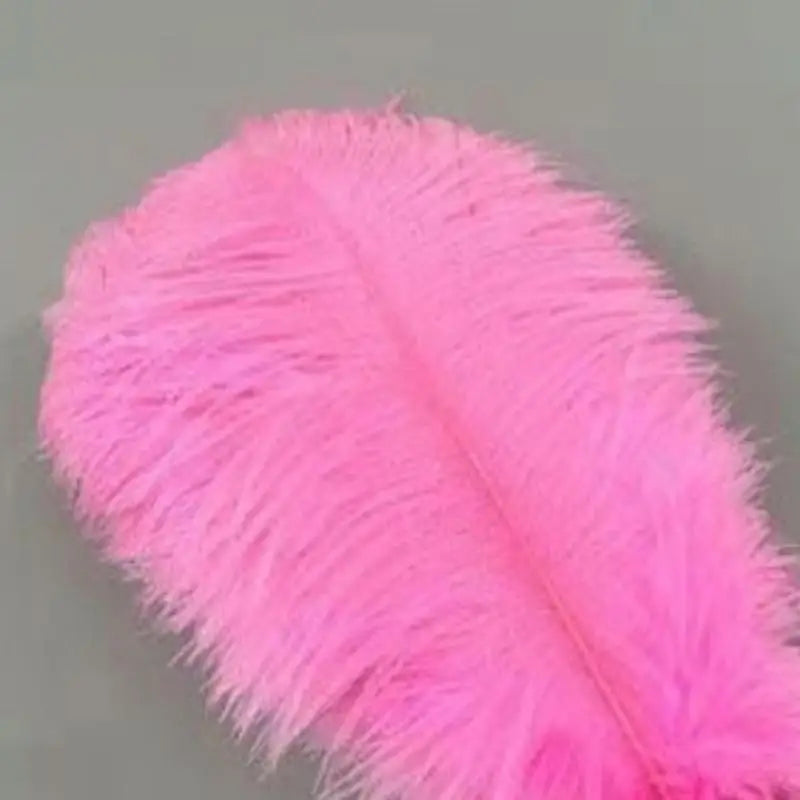 Soft Decorative Ostrich Feather Plume – DIY Boho Home Decor