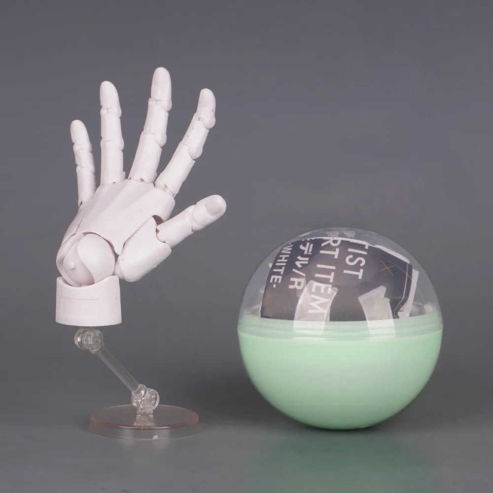 1:2 Scale Articulated Hand Model – Posable Fingers Art Figure