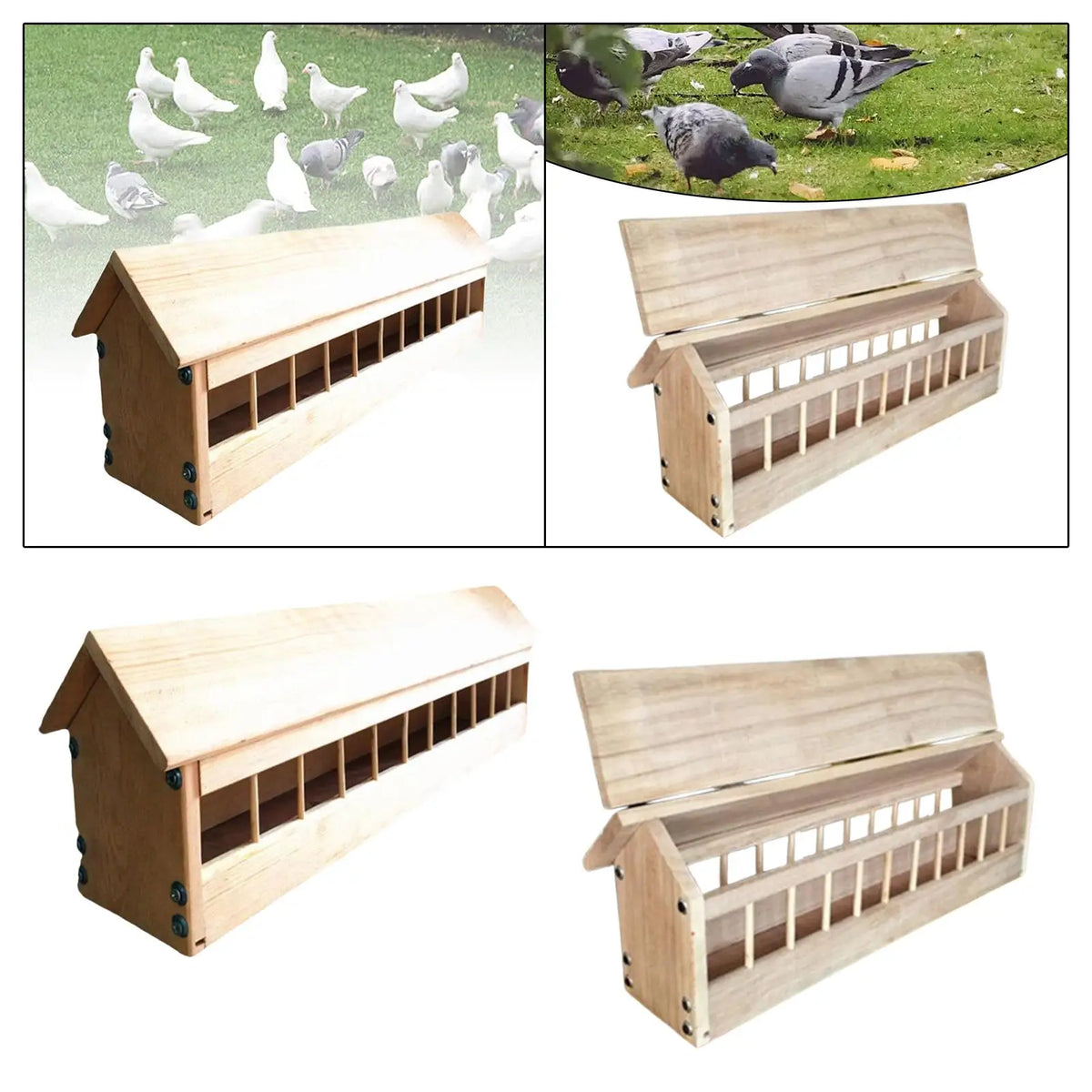 Wooden Pigeon & Chicken Feeder Trough – Low-Waste Bird Bowl