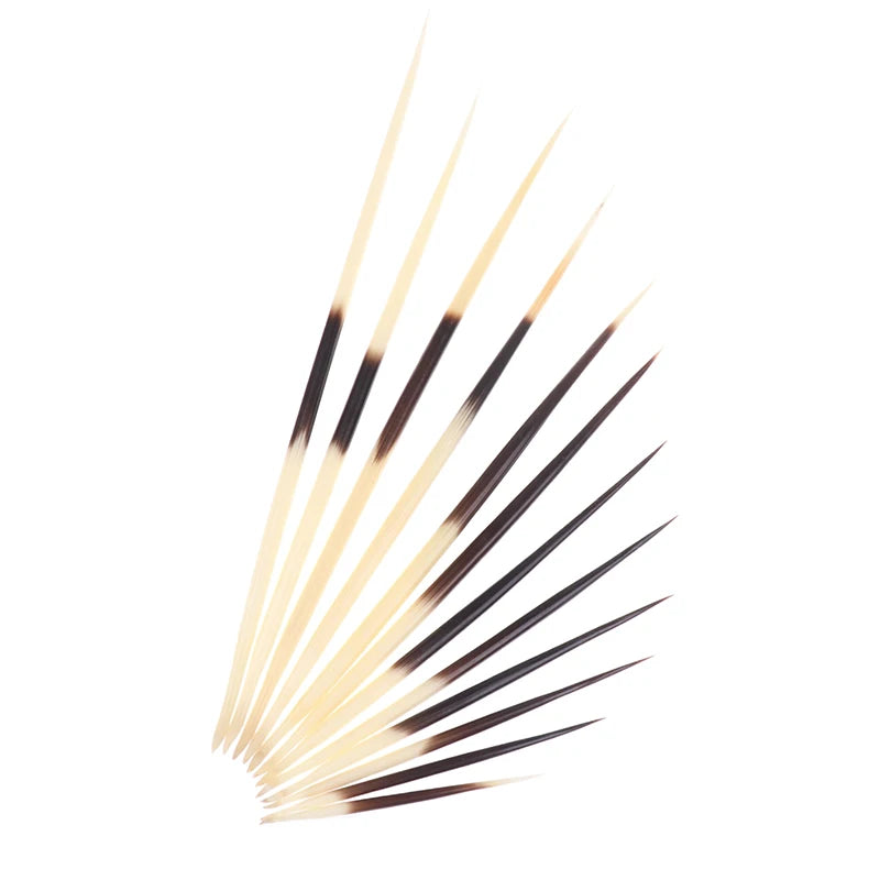 Natural Porcupine Quills – Hair Stick, DIY Crafts & Jewelry