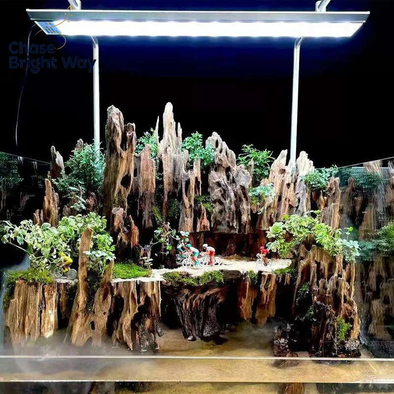 Shrimp Wood Driftwood Aquarium Decor – Natural Fish Tank Ornament