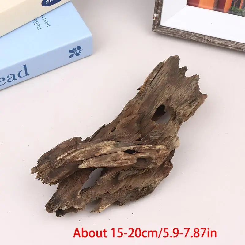 Shrimp Wood Driftwood Aquarium Decor – Natural Fish Tank Ornament