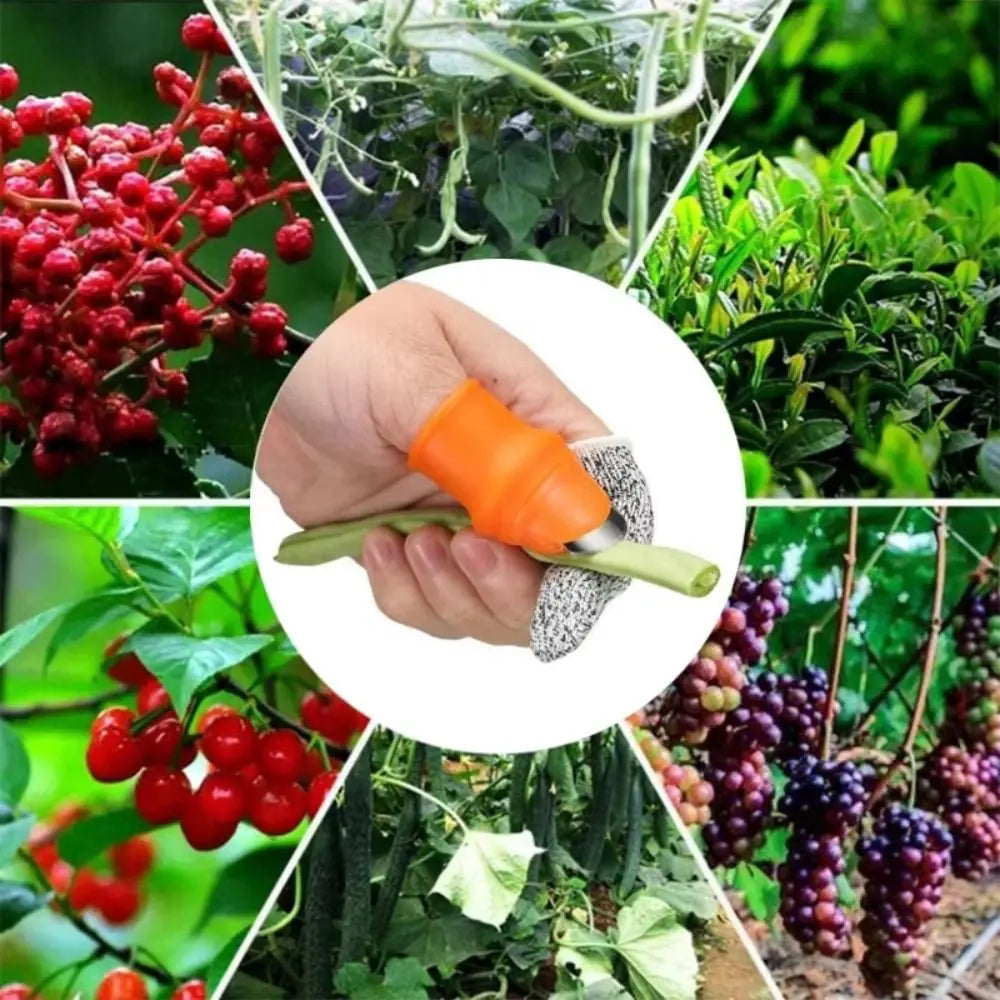 6-Piece Silicone Finger Guard Harvesting Tool Set – Bean & Fruit Picker