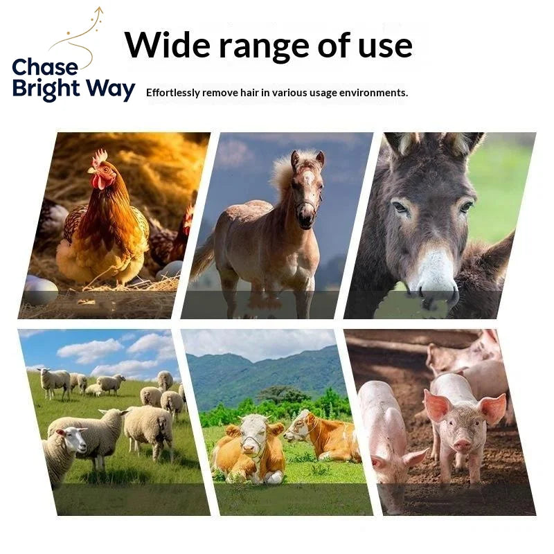 Livestock Dehairing Blade Disc – Stainless Steel for Cattle & Sheep