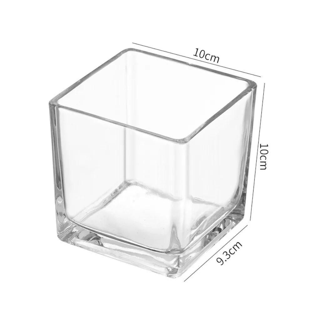 Transparent Square Glass Vase – Geometric Hydroponic Planter