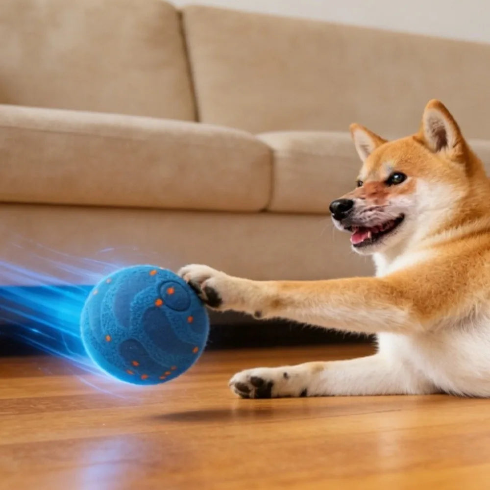 SAMMY Auto Rolling Dog Ball – Rechargeable Self-Moving Pet Toy