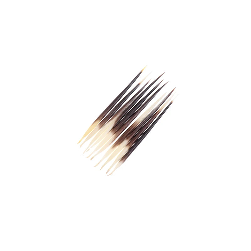 Natural Porcupine Quills – Hair Stick, DIY Crafts & Jewelry