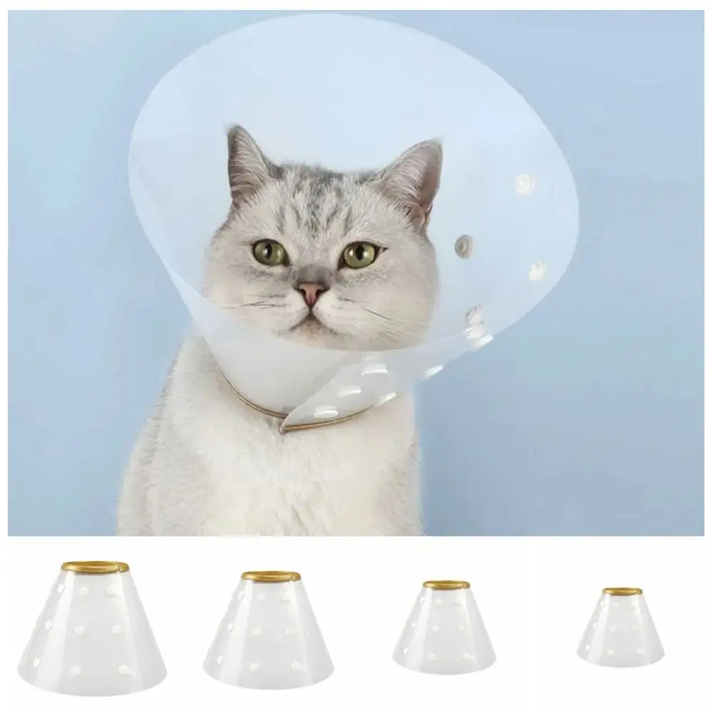 Adjustable Transparent Pet Recovery Collar – Anti-Lick Cone