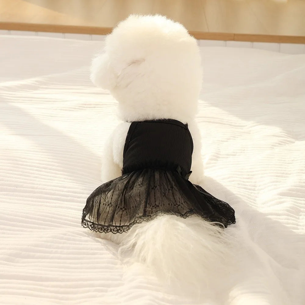 Princess Lace Dog Skirt Dress – Summer Pet Vest Clothing