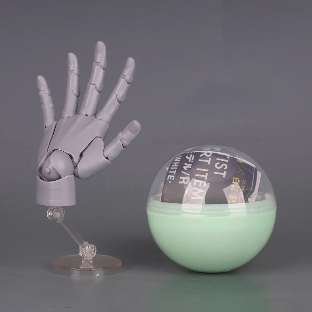 1:2 Scale Articulated Hand Model – Posable Fingers Art Figure