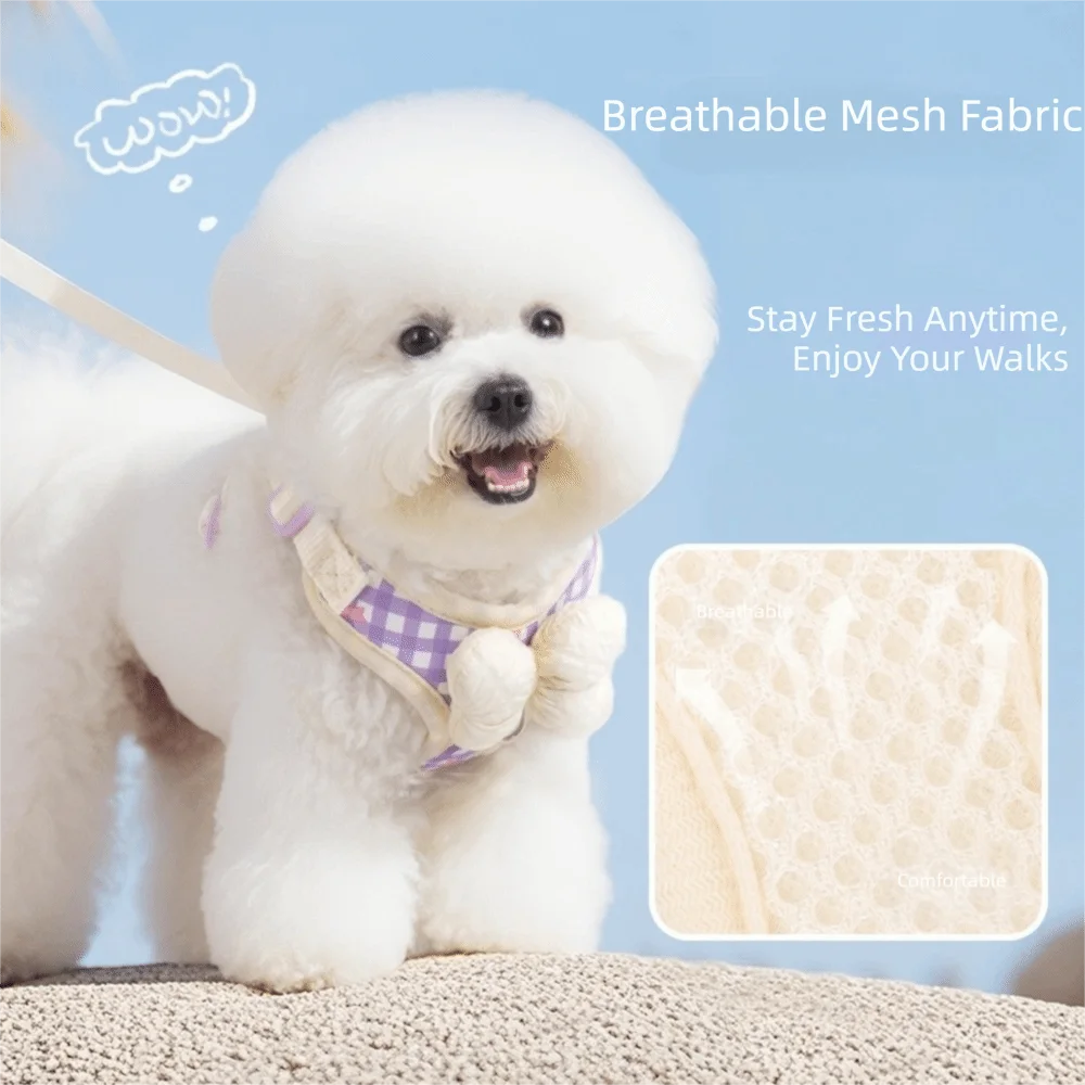 Adjustable Breathable Dog Harness Vest with Bow & Leash