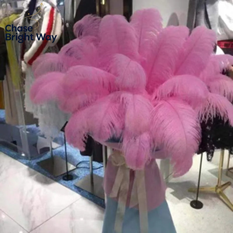 Soft Decorative Ostrich Feather Plume – DIY Boho Home Decor