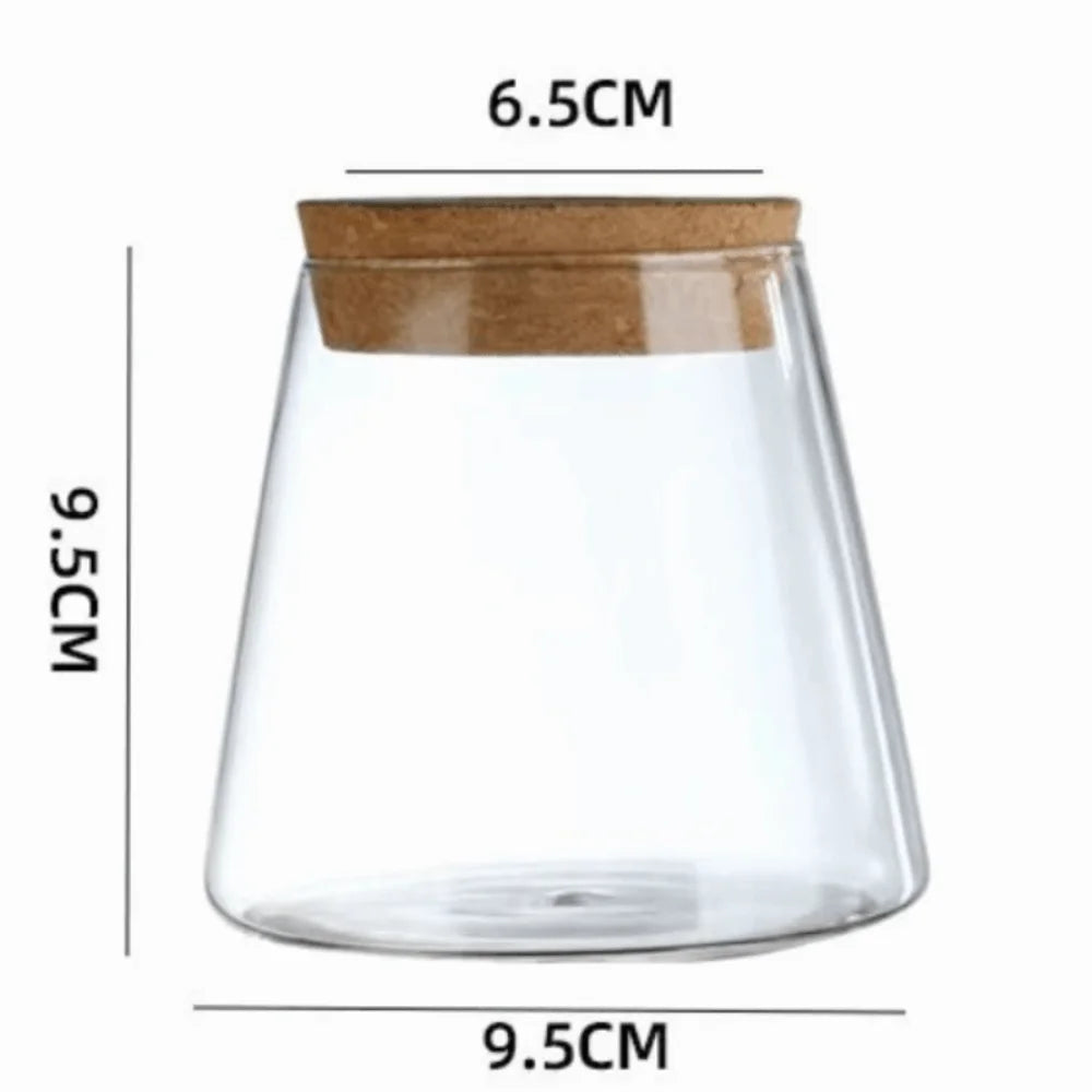 Glass Propagation Vase Rack – Tabletop Water Cultivation Planter
