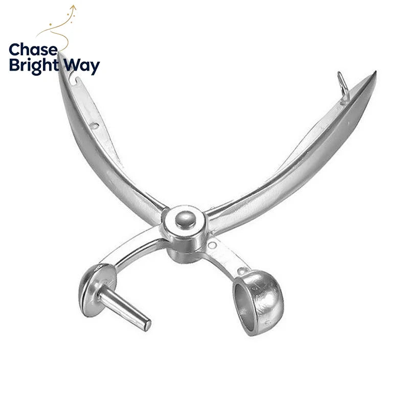 Zinc Alloy Cherry & Olive Pitter – One-Press Stone Remover