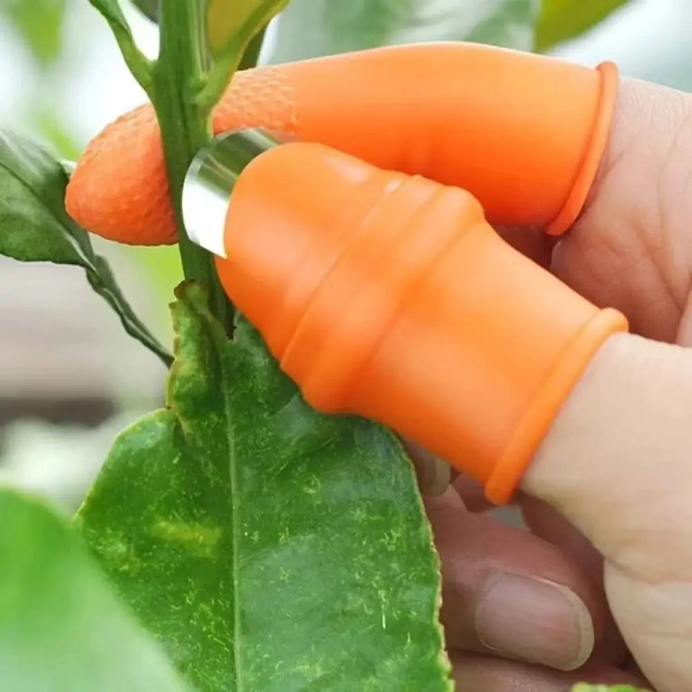 6-Piece Silicone Finger Guard Harvesting Tool Set – Bean & Fruit Picker