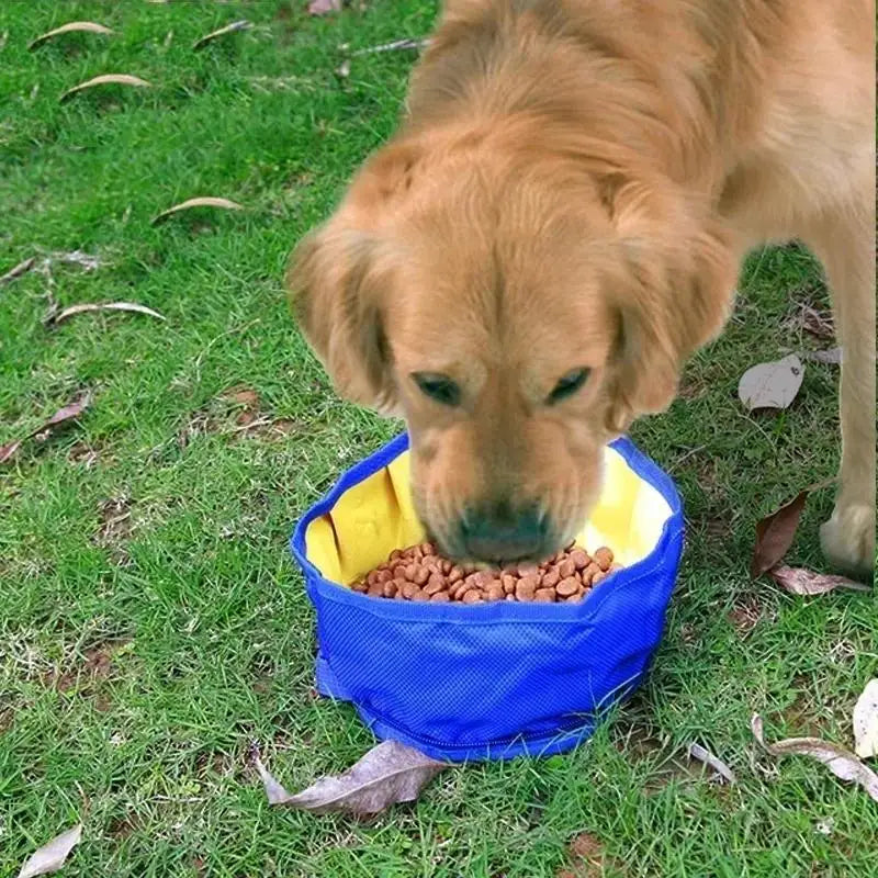 Foldable Dog Travel Bowl 1100ml – Portable Water & Food Bowl