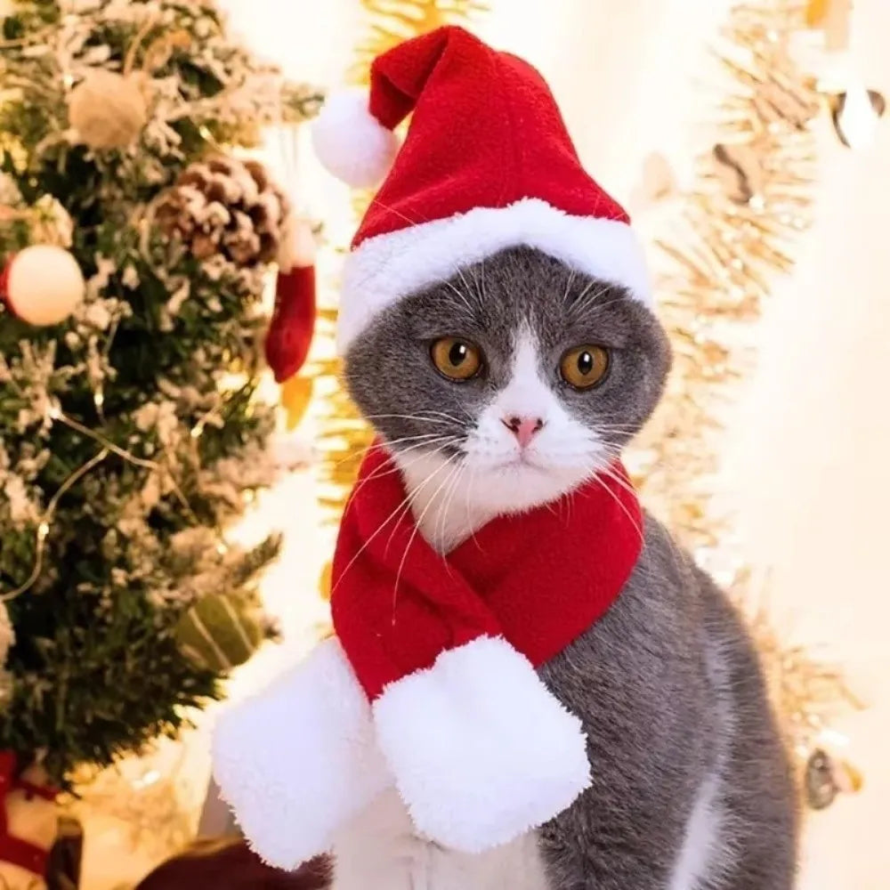 2-Pack Christmas Dog & Cat Scarf Hat Set – Adjustable Bandana