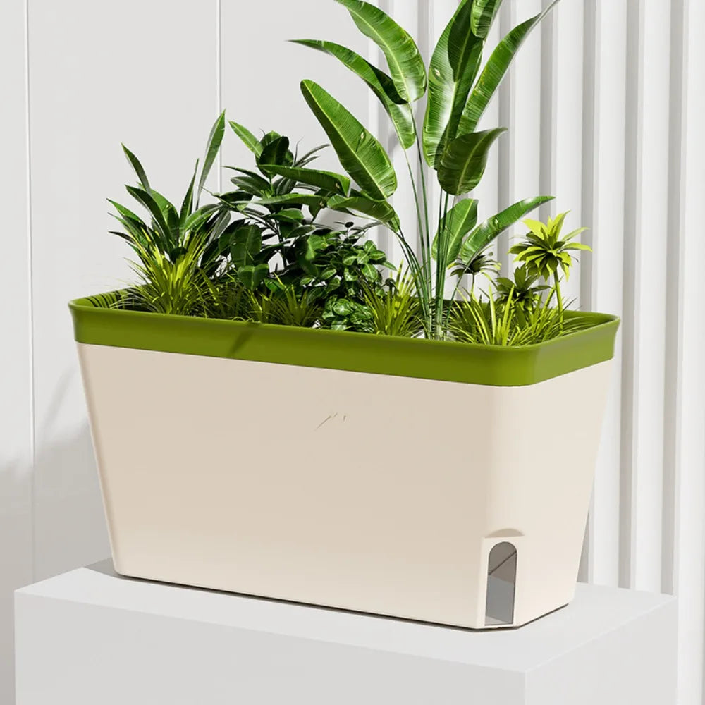 Self-Watering Herb Planter Box – Visible Water Level Window