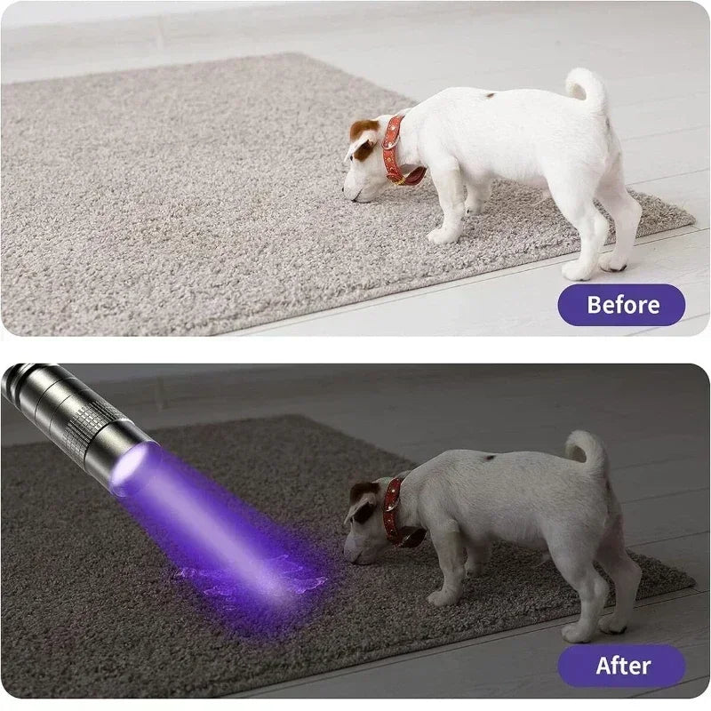 UV Flashlight 365nm Ultraviolet Torch – Pet Stain & Scorpion Detector