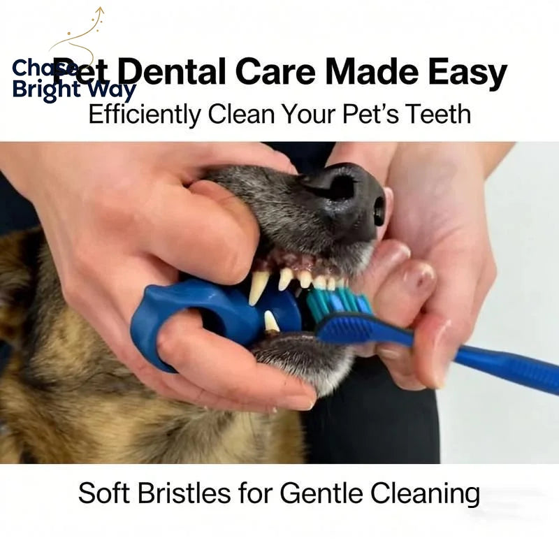 PP Finger Dog Toothbrush – Bite-Resistant Chew & Oral Care