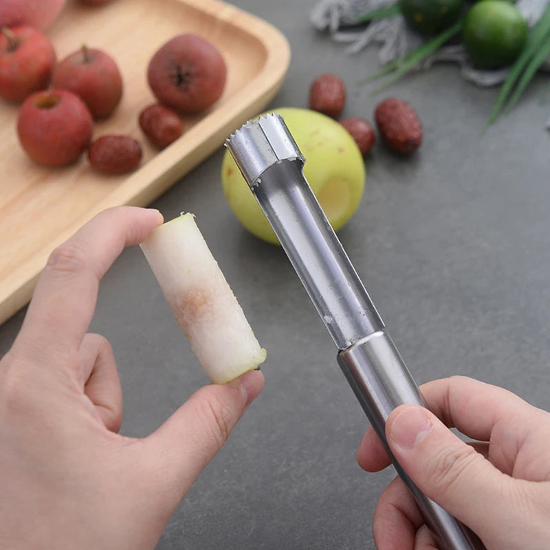Stainless Steel Fruit Corer & Seed Remover – Apple, Pear, Dates
