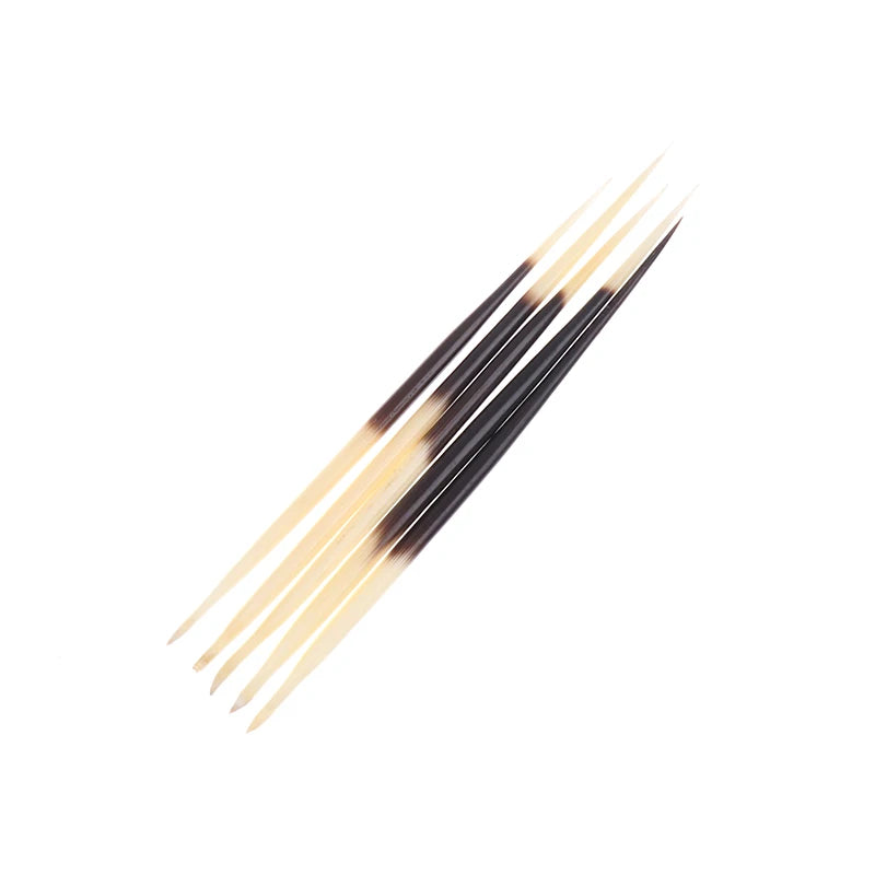 Natural Porcupine Quills – Hair Stick, DIY Crafts & Jewelry