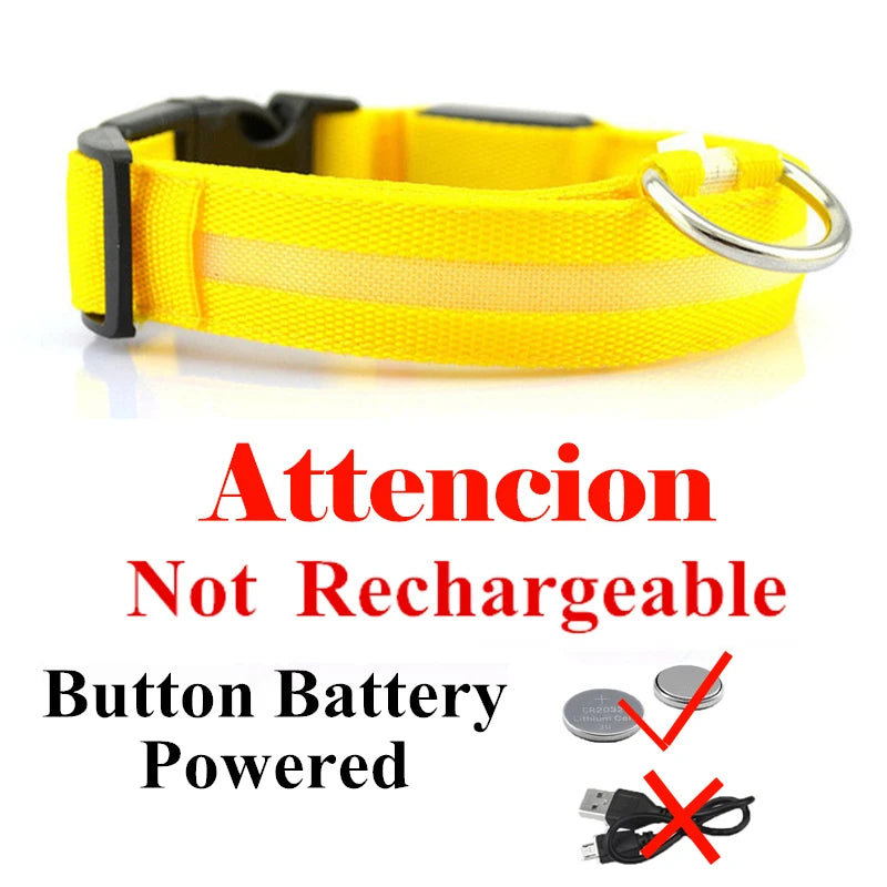 USB Rechargeable LED Dog Collar – Flashing Night Safety Glow