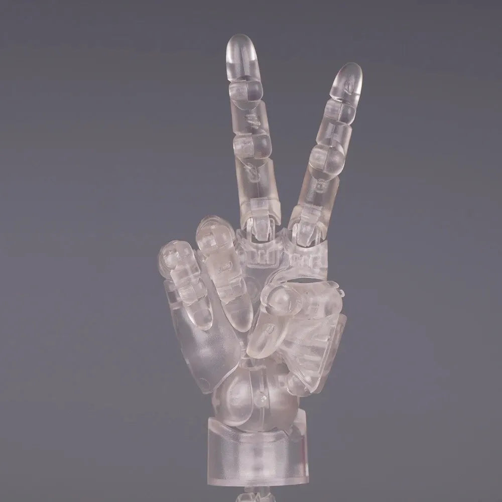 1:2 Scale Articulated Hand Model – Posable Fingers Art Figure