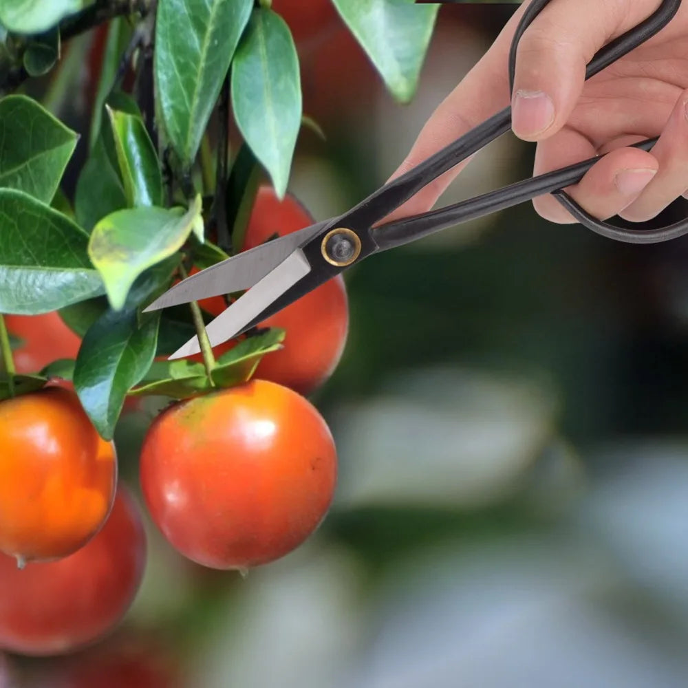 Steel Bonsai Pruning Scissors – Sharp Precision Garden Shears
