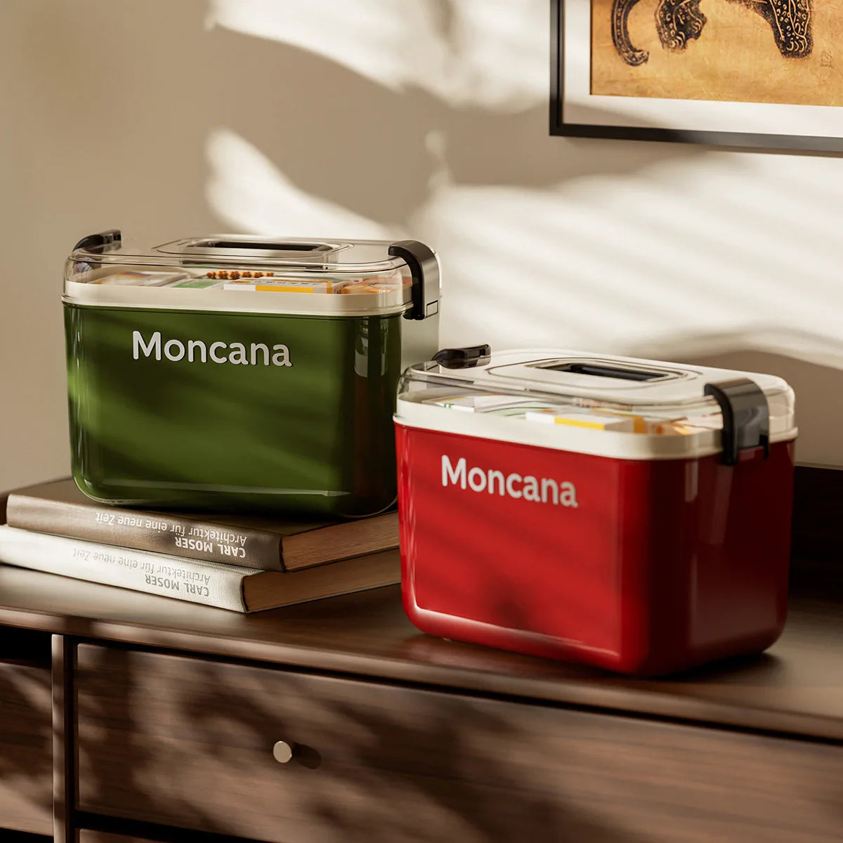 Large Portable Medicine Organizer Box with Dividers | First Aid