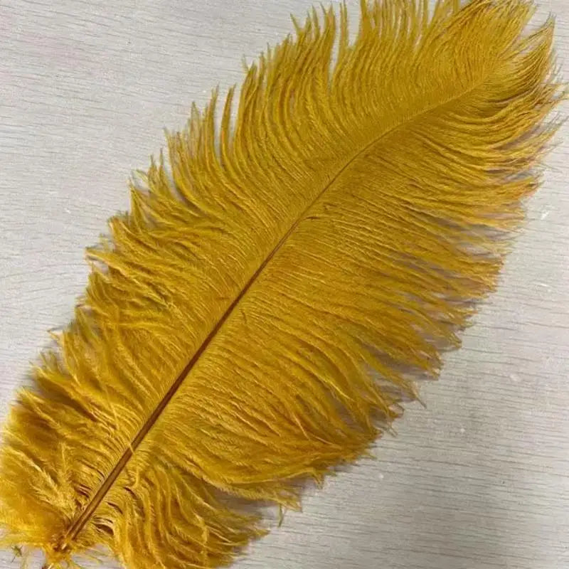 Soft Decorative Ostrich Feather Plume – DIY Boho Home Decor