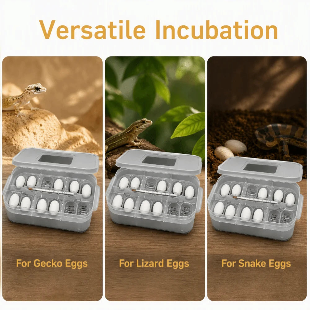 Reptile Egg Incubator Box – 12-Egg ABS Tray with Clear Lid